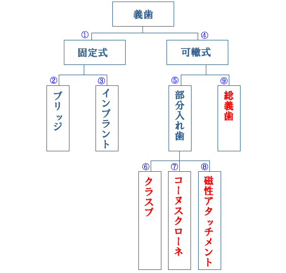 入れ歯の分類